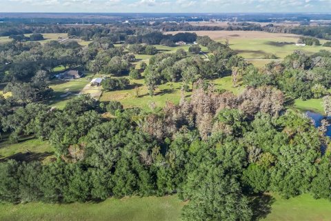 Land in Wildwood, Florida № 1561769 - photo 12