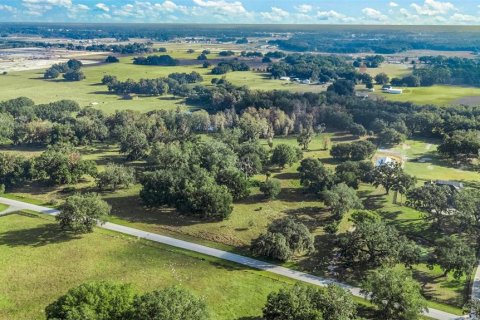 Land in Wildwood, Florida № 1561769 - photo 7