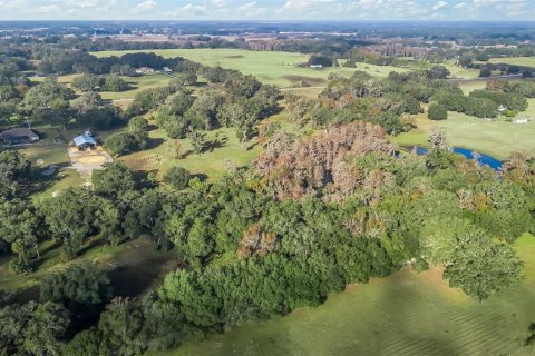 Land in Wildwood, Florida № 1561769 - photo 11