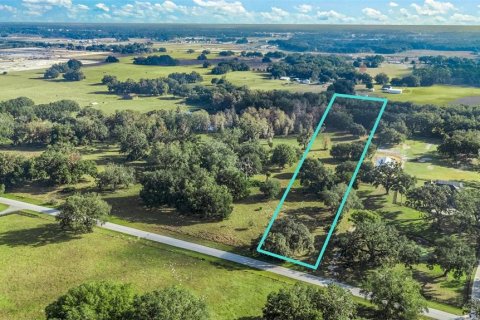 Land in Wildwood, Florida № 1561769 - photo 2