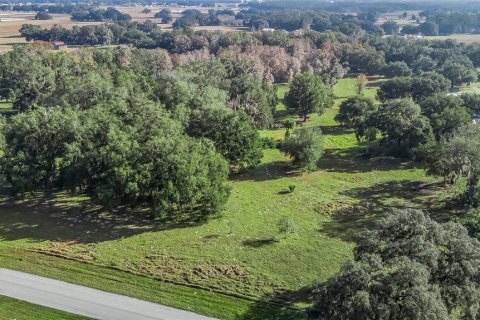 Land in Wildwood, Florida № 1561769 - photo 16