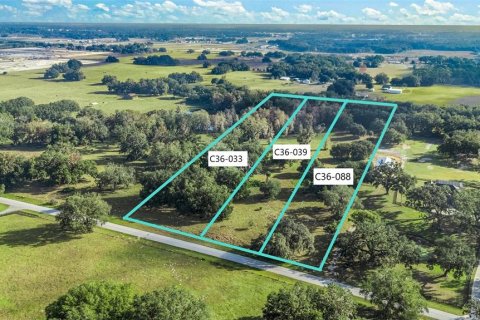 Land in Wildwood, Florida № 1561769 - photo 4