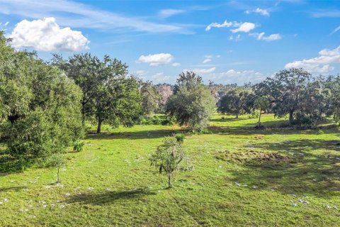 Land in Wildwood, Florida № 1561769 - photo 6