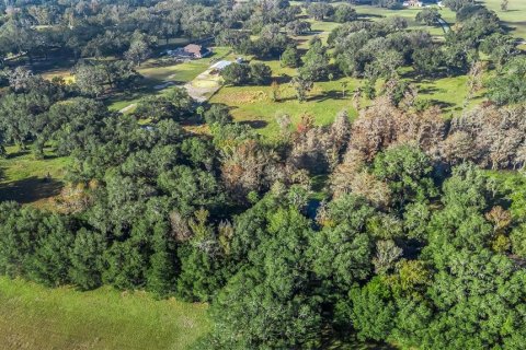 Land in Wildwood, Florida № 1561769 - photo 13