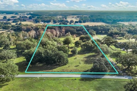 Land in Wildwood, Florida № 1561769 - photo 1