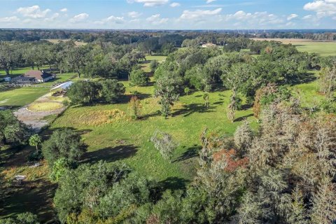 Land in Wildwood, Florida № 1561769 - photo 14