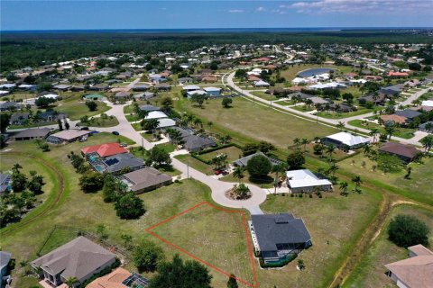Land in Punta Gorda, Florida № 2165831 - photo 4