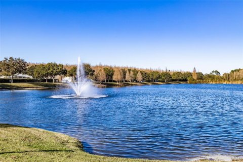 Condo in Lutz, Florida, 1 bedroom  № 1854478 - photo 2