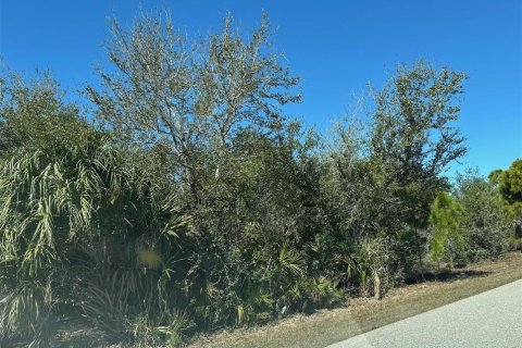 Land in Port Charlotte, Florida № 2158958 - photo 3