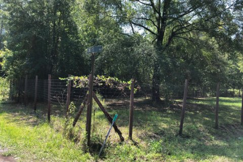 Terreno en venta en Sanderson, Florida № 766568 - foto 1
