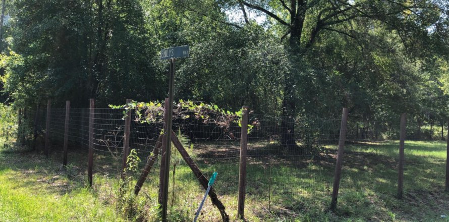 Terreno en Sanderson, Florida № 766568