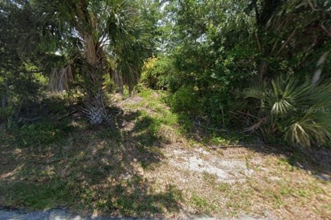 Land in Port Charlotte, Florida № 2161260 - photo 3