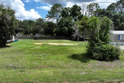 Terreno en venta en Auburndale, Florida № 2147945 - foto 4