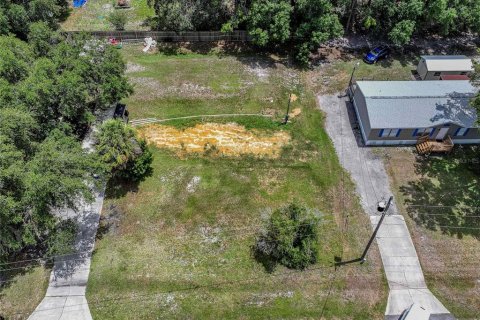 Terreno en Auburndale, Florida № 2147945