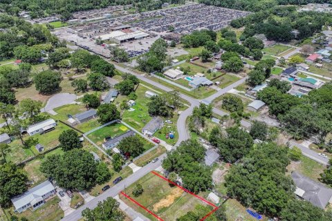 Terreno en venta en Auburndale, Florida № 2147945 - foto 2