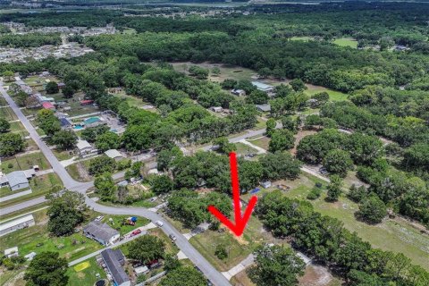 Terreno en venta en Auburndale, Florida № 2147945 - foto 5