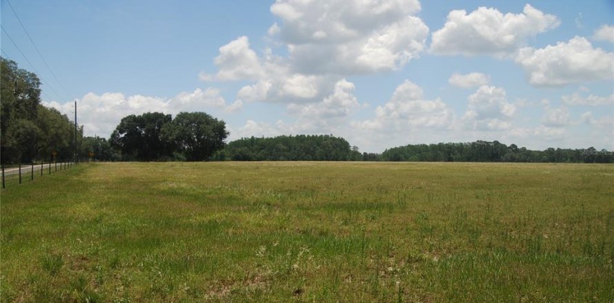 Terreno en Groveland, Florida № 859342