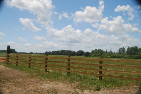 Terreno en venta en Groveland, Florida № 859342 - foto 4