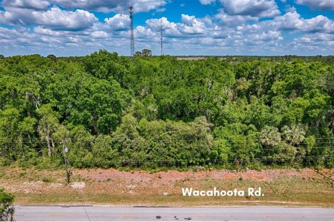 Land in Micanopy, Florida № 1614854 - photo 9