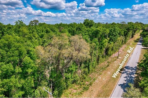 Land in Micanopy, Florida № 1614854 - photo 10