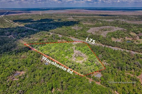Land in Micanopy, Florida № 1614854 - photo 3