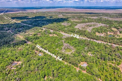 Land in Micanopy, Florida № 1614854 - photo 11