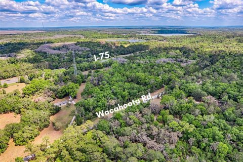Land in Micanopy, Florida № 1614854 - photo 6