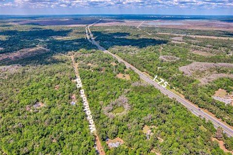 Land in Micanopy, Florida № 1614854 - photo 4