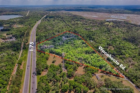 Land in Micanopy, Florida № 1614854 - photo 2