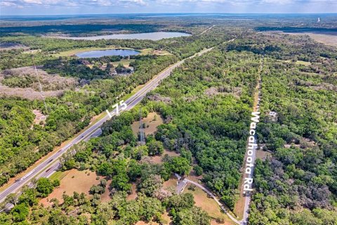 Land in Micanopy, Florida № 1614854 - photo 7