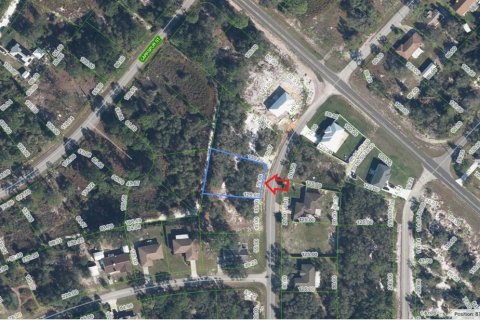 Land in Lake Placid, Florida № 2205895