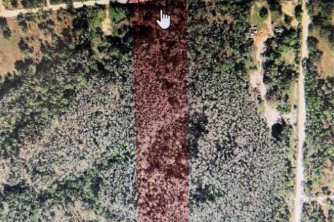 Земельный участок в Форт Майерс, Флорида № 2015319