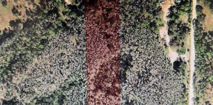 Земельный участок в Форт Майерс, Флорида № 2015319