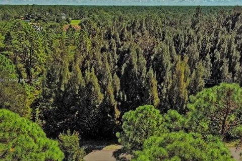 Land in Lehigh Acres, Florida № 2164303 - photo 3