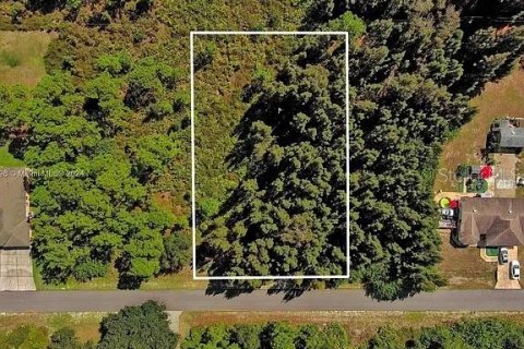 Land in Lehigh Acres, Florida № 2164303 - photo 2