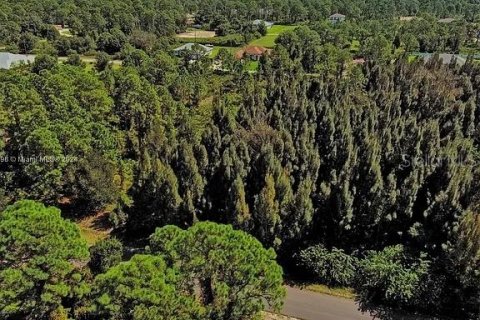 Land in Lehigh Acres, Florida № 2164303 - photo 5