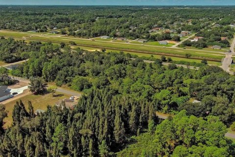 Land in Lehigh Acres, Florida № 2164303 - photo 9