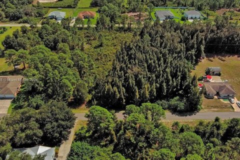 Land in Lehigh Acres, Florida № 2164303