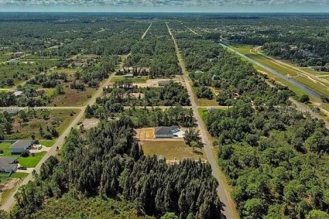 Land in Lehigh Acres, Florida № 2164303 - photo 7