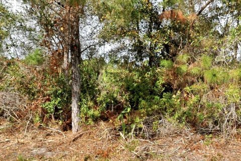 Land in North Port, Florida № 2161932 - photo 2