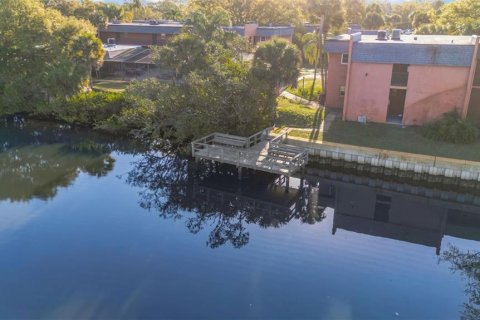 Condo in Palm Harbor, Florida, 2 bedrooms  № 2207572 - photo 26