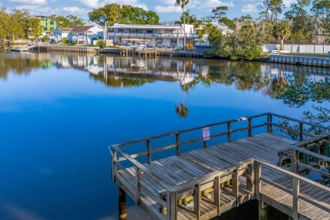 Condo à Palm Harbor, Floride, 2 chambres № 2207572