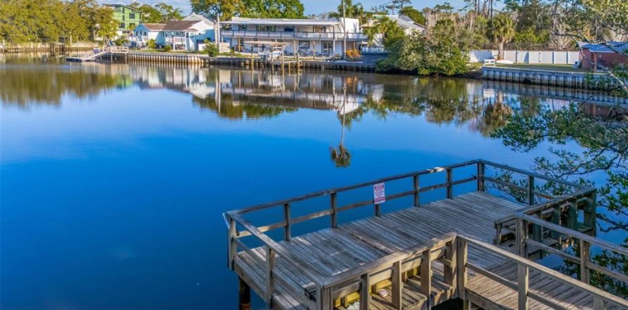 Condo in Palm Harbor, Florida, 2 bedrooms  № 2207572