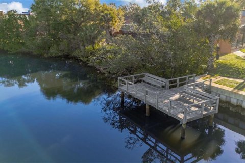 Condo in Palm Harbor, Florida, 2 bedrooms  № 2207572 - photo 27