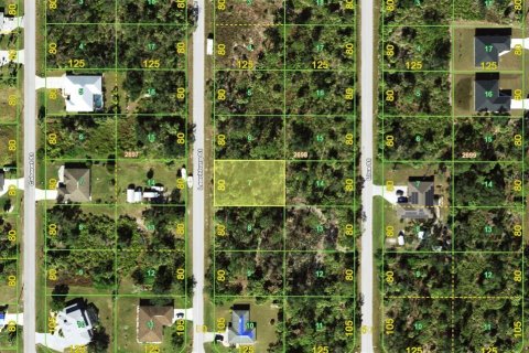 Land in Port Charlotte, Florida № 2164177 - photo 2