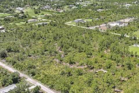 Terreno en venta en Punta Gorda, Florida № 1815068 - foto 3