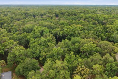Villa ou maison à vendre à Inglis, Floride: 2 chambres, 96.8 m2 № 2134300 - photo 4