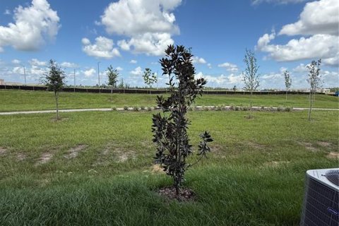 Adosado en alquiler en Davenport, Florida, 3 dormitorios, 151.24 m2 № 1905187 - foto 11