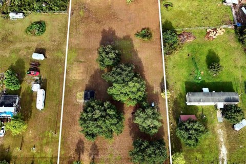 Land in Clewiston, Florida № 2348232