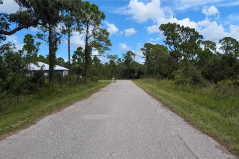 Land in Port Charlotte, Florida № 2375539 - photo 5